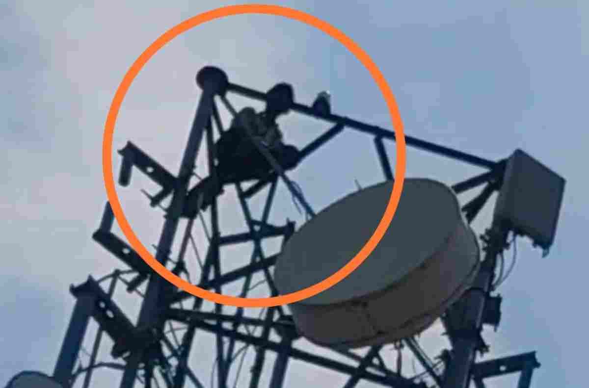 मधुबन: मानिकपुर में मोबाइल टावर पर चढ़ा युवक, घंटों चला हाईवोल्टेज ड्रामा