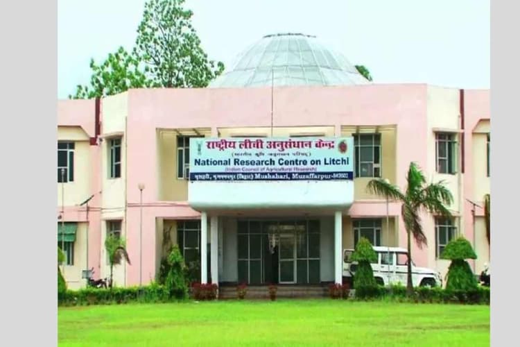 मुजफ्फरपुर: राष्ट्रीय लीची अनुसंधान केंद्र का बड़ा कमाल, बिना एसी वैन देश-विदेश भेजी जा सकेगी लीची