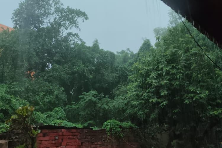 पटना में दिन में छाया अंधेरा, तेज ठंडी हवाओं और झमाझम बारिश से मौसम हुआ सुहाना