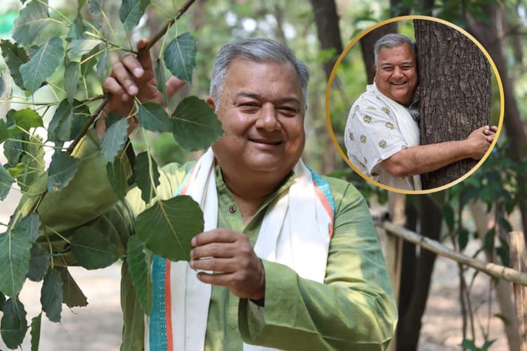 पेड़ों की संख्या बढ़ानी है तो पढ़नी होगी 'पीपल की छांव में', लेकिन 5 जून तक करना होगा इंतजार