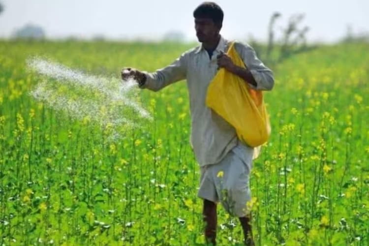 रोहतास में खाद संकट की दस्तक, धान की खेती पर मंडराया खतरा, कृषि विभाग की तैयारी पर उठे सवाल