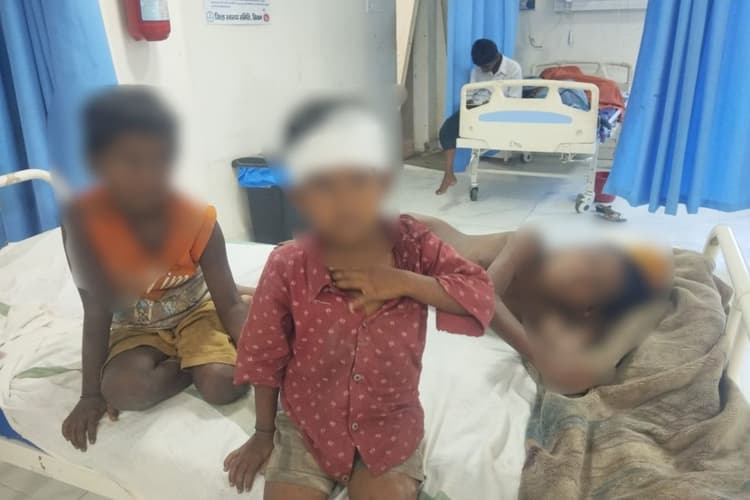 सीवान में बंदरों को आम खिलाना पड़ा भारी, दीवार गिरने से एक ही परिवार के तीन बच्चे घायल...