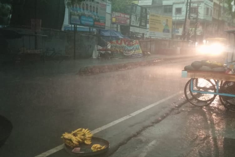 गया में तेज आंधी बारिश से भारी तबाही, पेड़ों की टहनियां-बिजली के तार टूटे, वज्रपात में एक की मौत