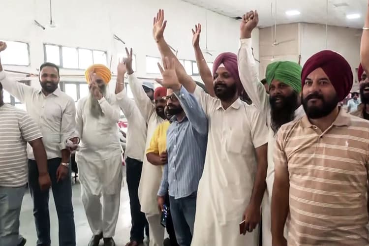 पंजाब निकाय चुनाव में चला AAP का जादू, 690 से अधिक वार्ड पर जीत, पार्टी मना रही जश्न