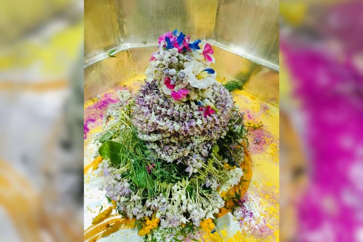 Aaj Ka Darshan: मुजफ्फरपुर के बाबा गरीबनाथ का मनमोहक शृंगार, रुद्राभिषेक के लिए मंदिर में लगी कतारें