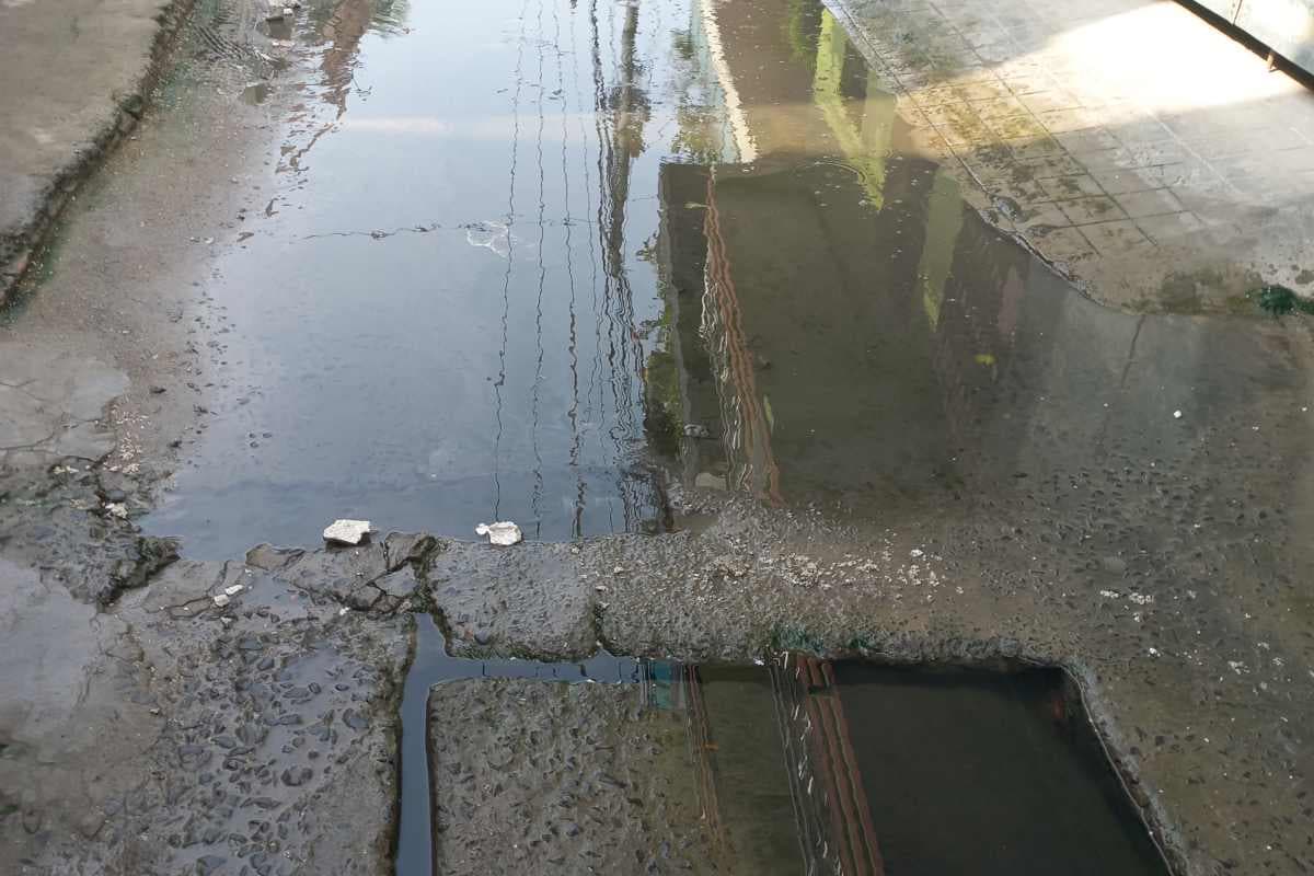 समस्तीपुर: प्रोफेसर कॉलोनी में महीनों से जलजमाव, सड़क बनी तालाब और निगम बेखबर