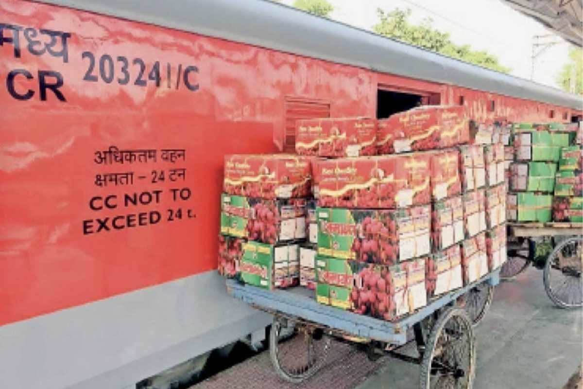 समस्तीपुर: जंक्शन से शाही लीची का सफर शुरू, बेंगलुरु समेत कई शहरों के लिए भेजी गई खेप