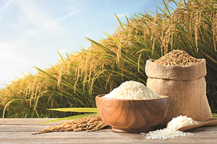 Sitamarhi: धान खरीद के बाद चावल जमा करने पर जोर, 15 जून डेडलाइन तय