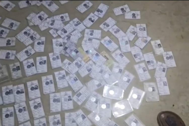 सीतामढ़ी: पोखर में तैरते मिले लावारिस वोटर कार्ड, इलाके में मचा हड़कंप