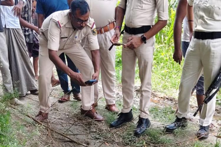 रूपौली के टीकापट्टी में एक और तेंदुए की आहट से दहशत, खेत में मिले पंजों के निशान; मक्के की कटनी ठप