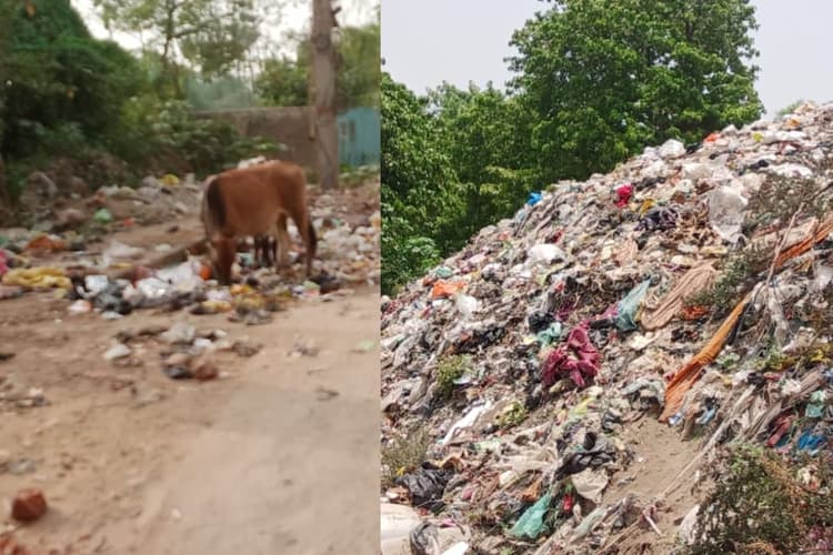 दानापुर नगर परिषद में सफाई व्यवस्था की खुली पोल, करोड़ों खर्च के बाद भी सड़कों पर गंदगी का अंबार