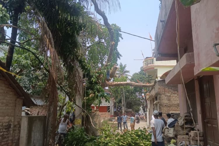 प्रभात खबर की खबर का चंद घंटों में असर, रिफ्यूजी कॉलोनी मार्ग पर बिजली के तारों पर गिरा पेड़ हटा, आवागमन हुआ सुचारू
