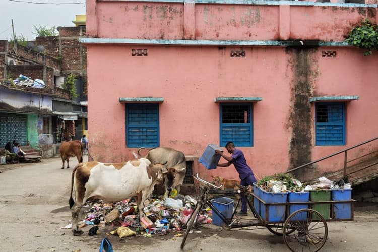 शिक्षा के मंदिर के गेट पर नगर निगम ने बनाया कचरा डंपिंग यार्ड, सड़ांध और दुर्गंध के बीच पढ़ाई करने को मजबूर नौनिहाल