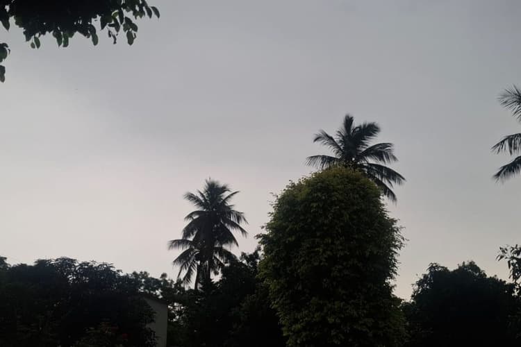 पूर्णिया में अभी घर से निकल रहे हैं तो ठहर जाएं! अगले 3 घंटे में आफत की बारिश और वज्रपात का अलर्ट, 60 किमी की रफ्तार से चलेंगी हवाएं