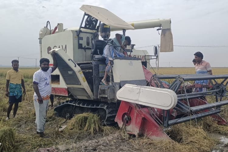 किसानों पर दोहरी मार: बेमौसम बारिश से धान की फसल बर्बाद, रात में असामाजिक तत्वों ने कटाई मशीन को किया क्षतिग्रस्त