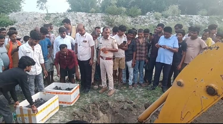 प्रतिबंधित थाई मांगुर मछली जब्त, विक्रेताओं में मचा हड़कंप