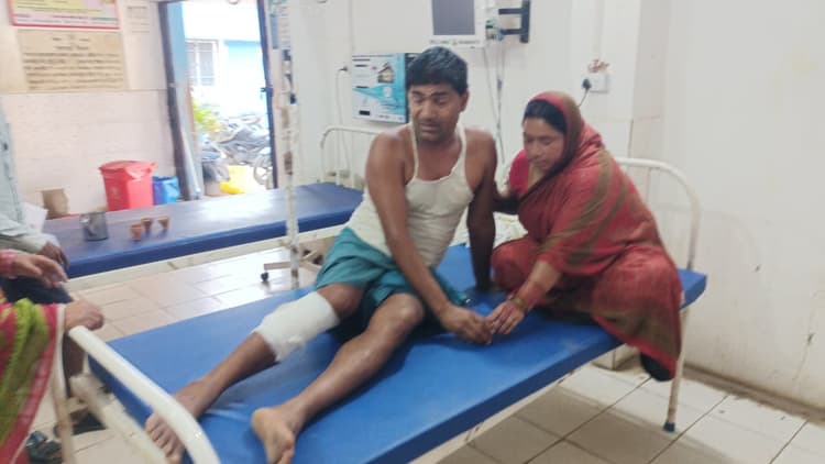 महौता गांव में कटखने बंदर का आतंक: दस दिनों में दर्जनों घायल, ग्रामीणों ने रेस्क्यू की मांग की
