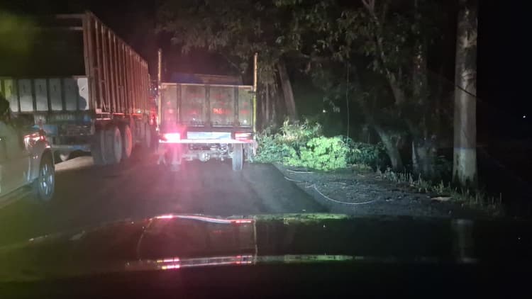 औरंगाबाद में तूफान का कहर: जड़ से उखड़े दर्जनों पेड़, NH-139 पर लगा महाजाम, प्रशासन नदारद, खुद पेड़ हटाने उतरे लोग