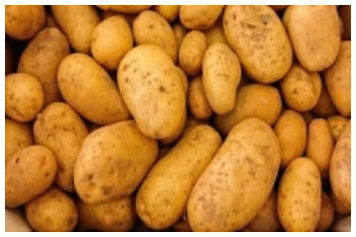 Bettiah mandi bhav potato onion wheat price 4 May