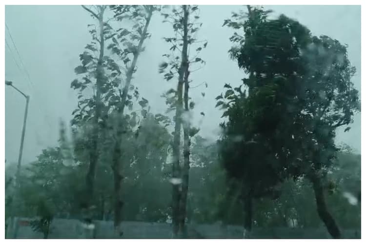 Bettiah Weather: दिन में छाया अंधेरा, आंधी-पानी से भारी तबाही