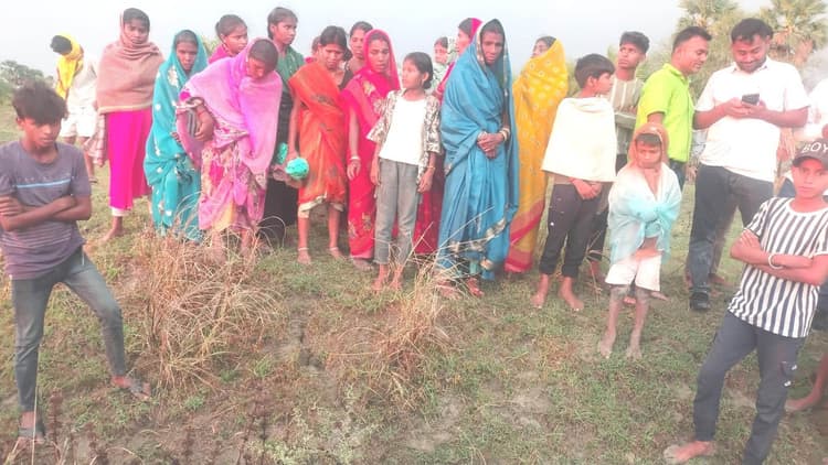 वज्रपात की चपेट में आने से भैंस की मौत