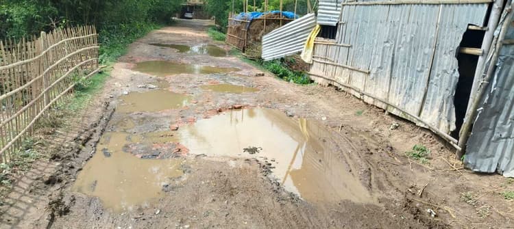 गड्डेनुमा सड़क पर जलजमाव से आवागमन में परेशानी