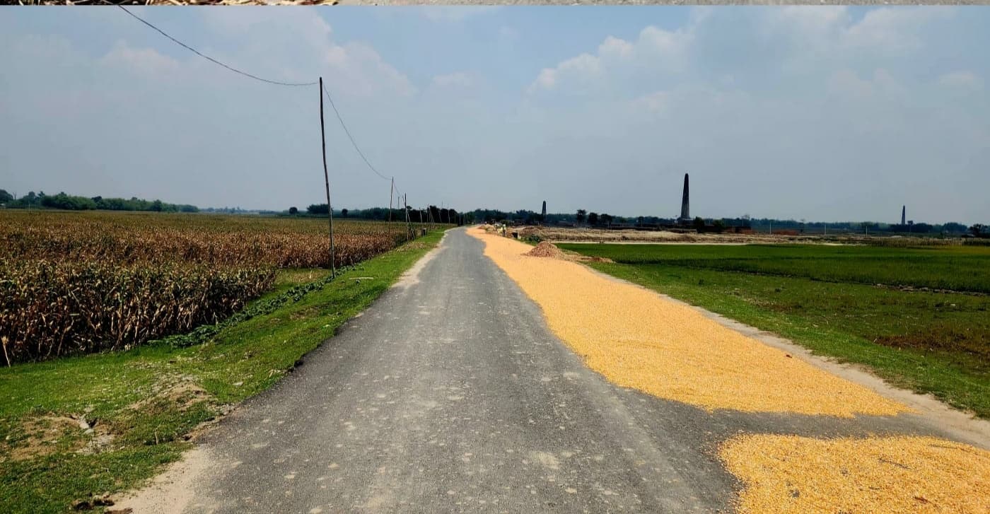 KISHANGANJ : खलिहान बना राष्ट्रीय राजमार्ग, सुखाये जा रहे मक्के