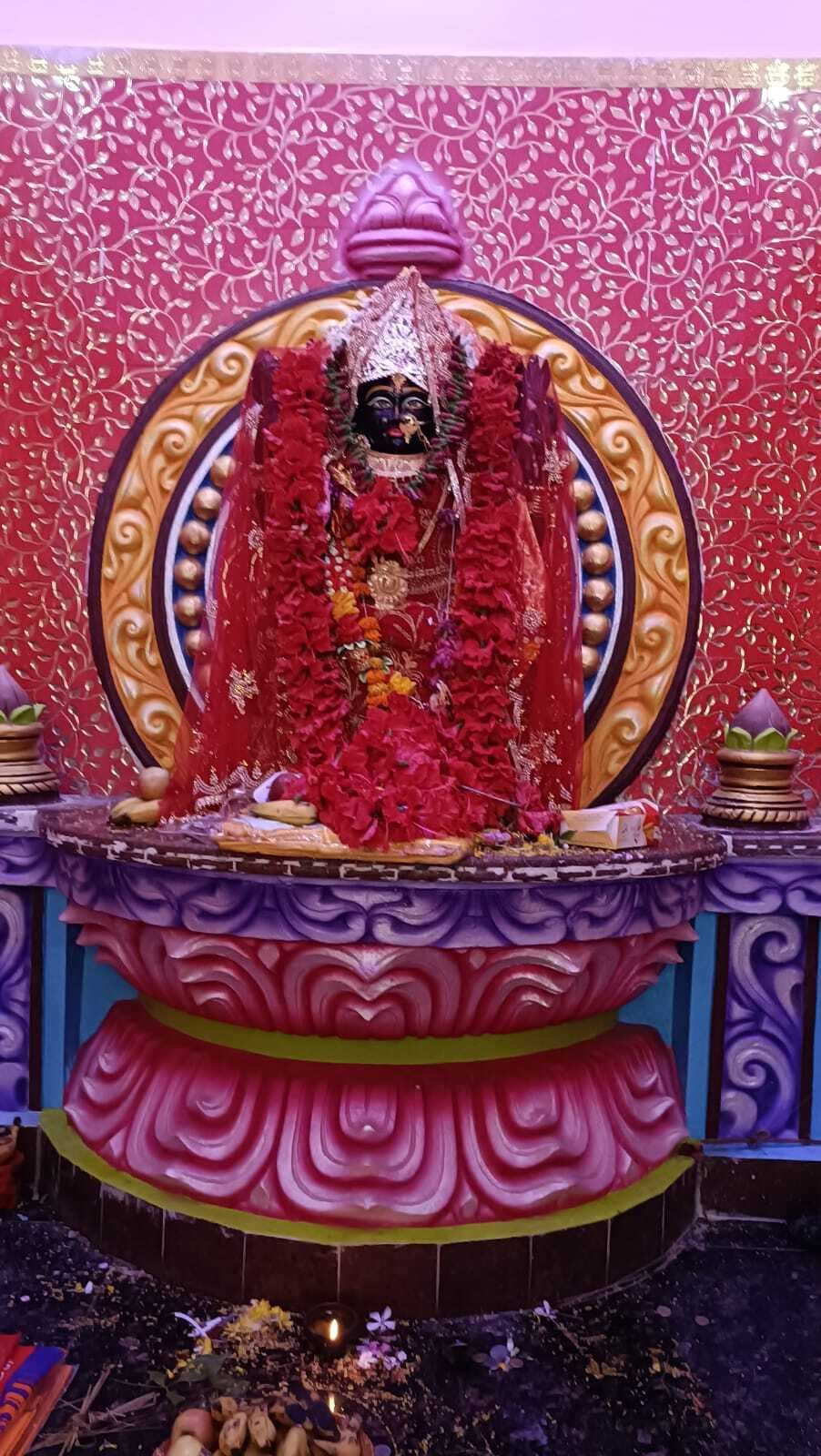 भक्तिभाव से माता भगवती की हुई प्राणप्रतिष्ठा