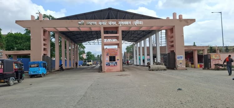 Purnia : आज गुलाबबाग मंडी में हल्दी का रंग हुआ गाढ़ा, पर 50 रुपये तक फिसल गया मक्का