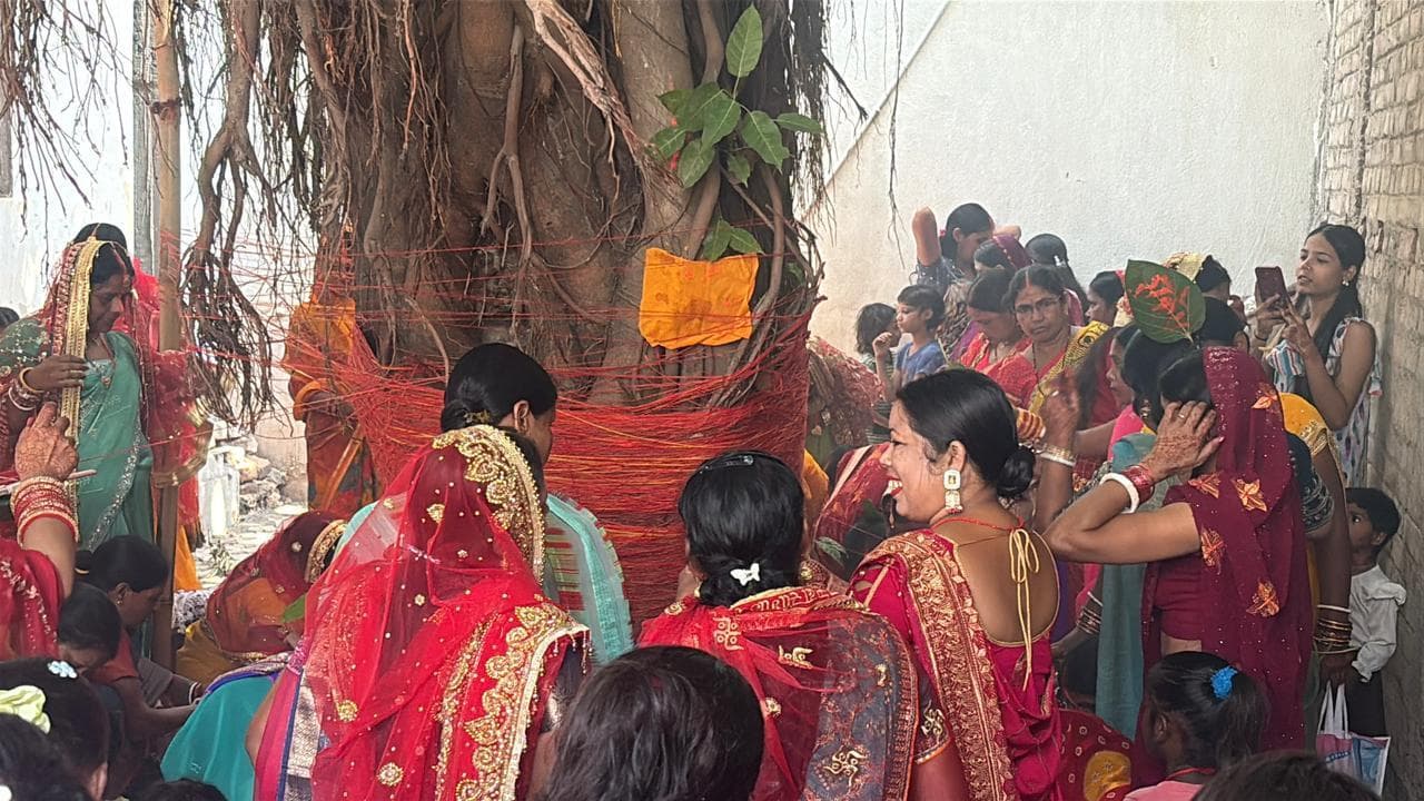 Lakhisarai, वट सावित्री पर सुहागिनों ने की बरगद की पूजा,पति की दीर्घायु को रखा निर्जला व्रत