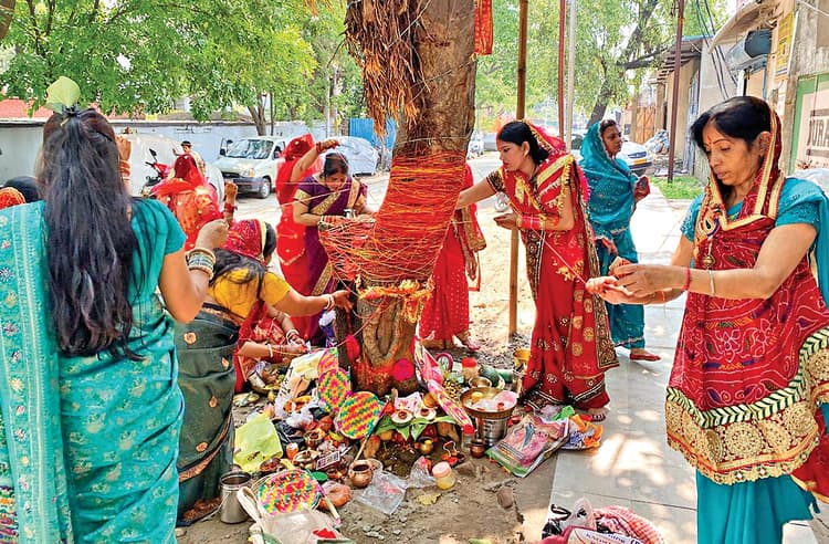 Rourkela News: वट वृक्ष की पूजा कर सुहागिनों ने पति की लंबी आयु व सुख-समृद्धि मांगी
