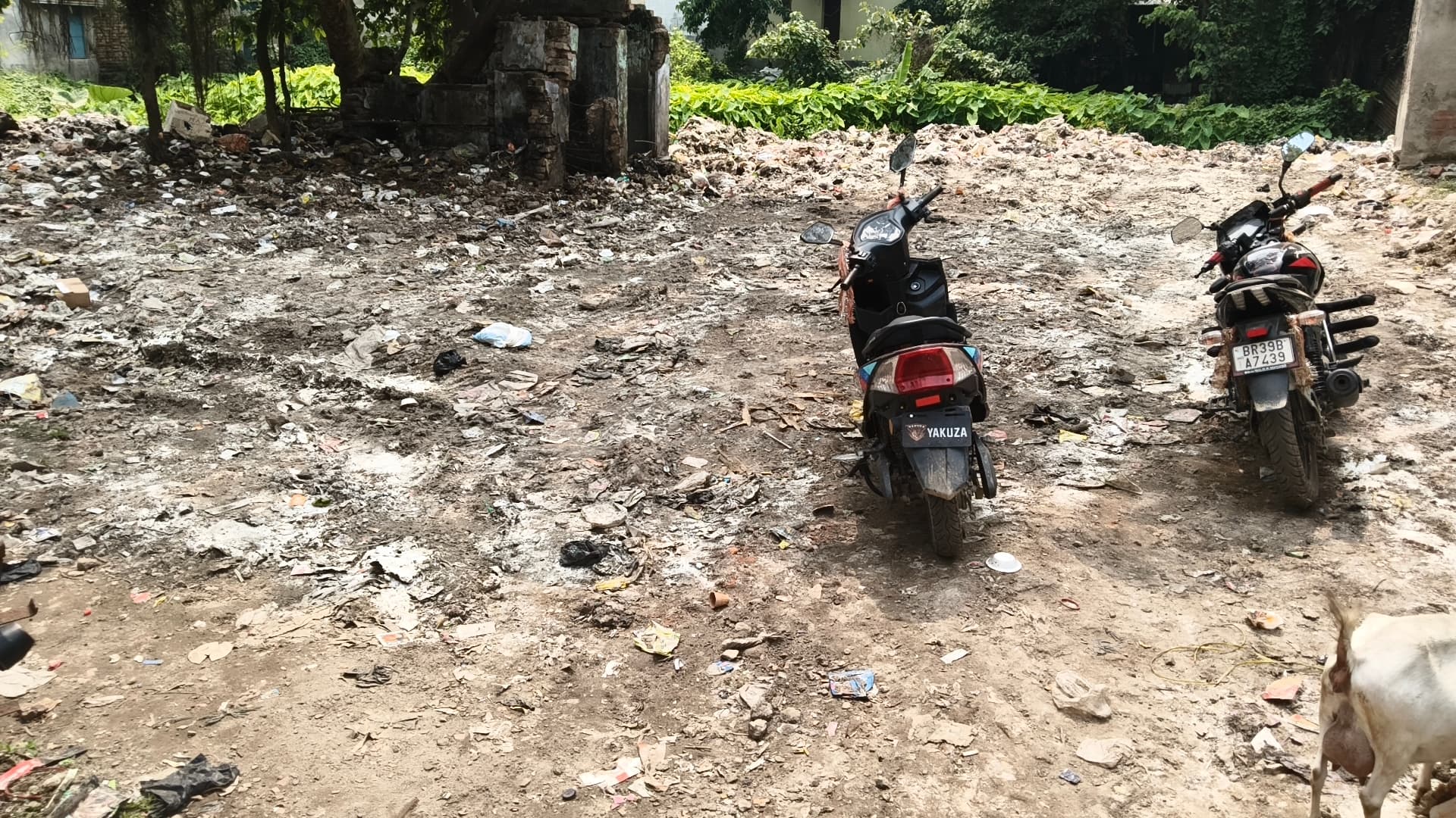 प्रभात इंपैक्ट, समाचार प्रकाशित होते ही हरकत में आया नगर पंचायत प्रशासन