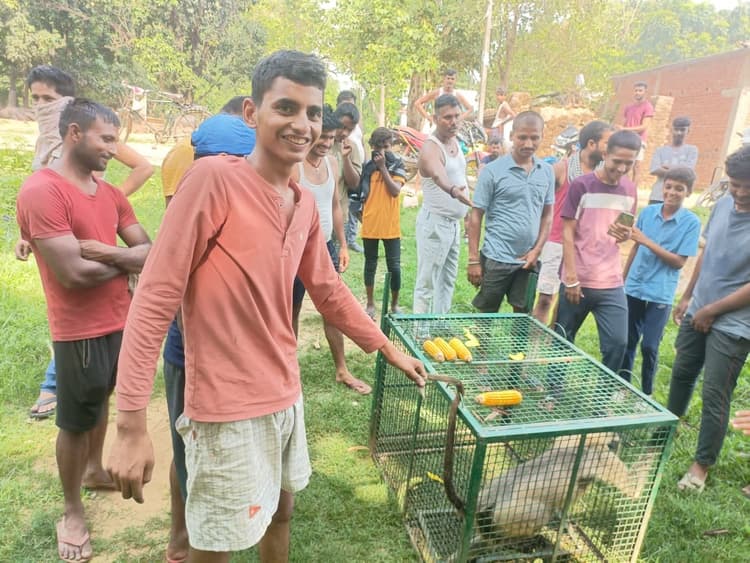 एक महीने से दहशत फैला रहे कटखने बंदर काे वन विभाग ने किया रेस्क्यू