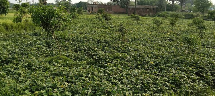 बारिश से मौसम हुआ सुहाना, गर्मी से लोगों को मिली राहत