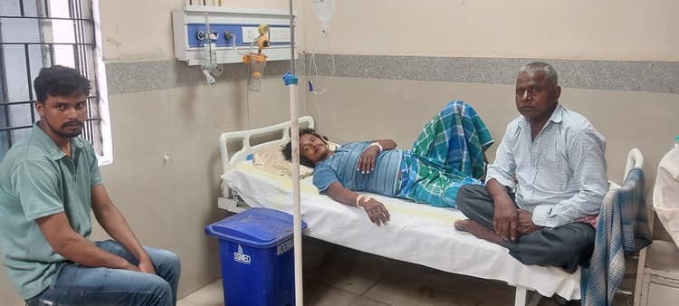 सांप के जबड़े से मेंढक को छुड़ाने में अधेड़ को सांप ने डंसा