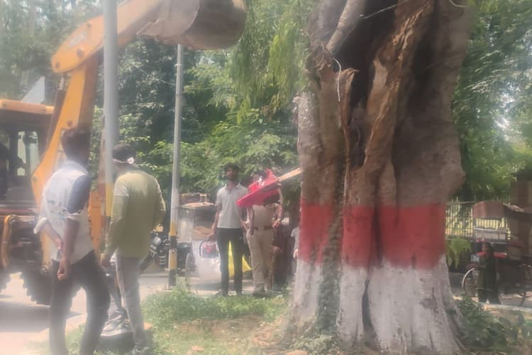 भागलपुर में सड़क किनारे सूखे पेड़ों पर चला प्रशासन का बुलडोजर, हादसे के बाद एक्शन मोड में विभाग