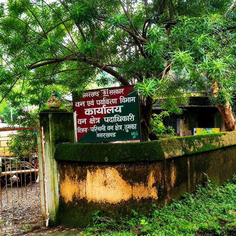 अवैध आरा मिल जब्त मामले में दो पर प्राथमिकी दर्ज