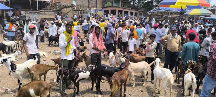 Giridih News :बकरीद को ले सजने लगा बाजार, बढ़ी चहल-पहल