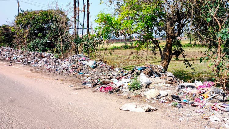 बीएसएनएल टावर चौक के पास सड़क किनारे गंदगी का अंबार, लोग परेशान