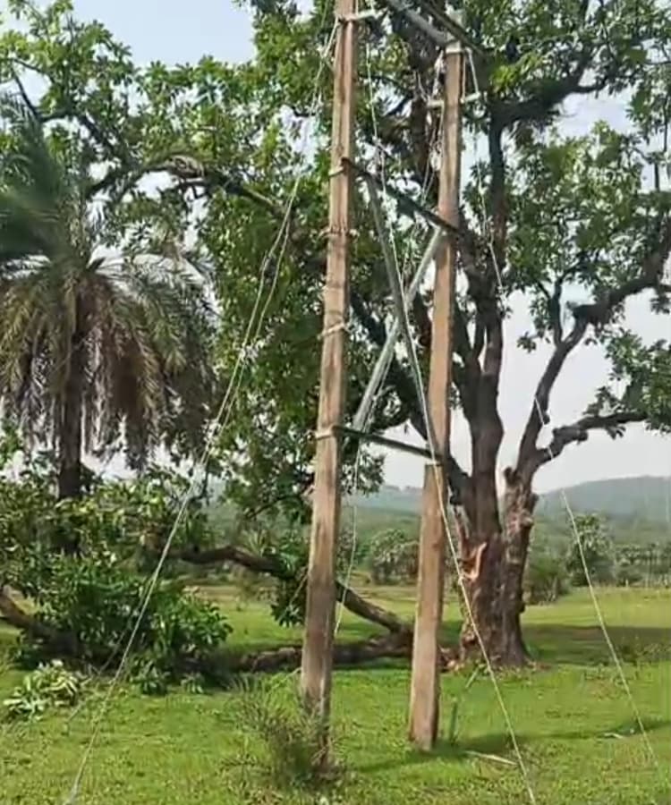 तेज हवा और बारिश से तालझारी में पेड़ व तार गिरे