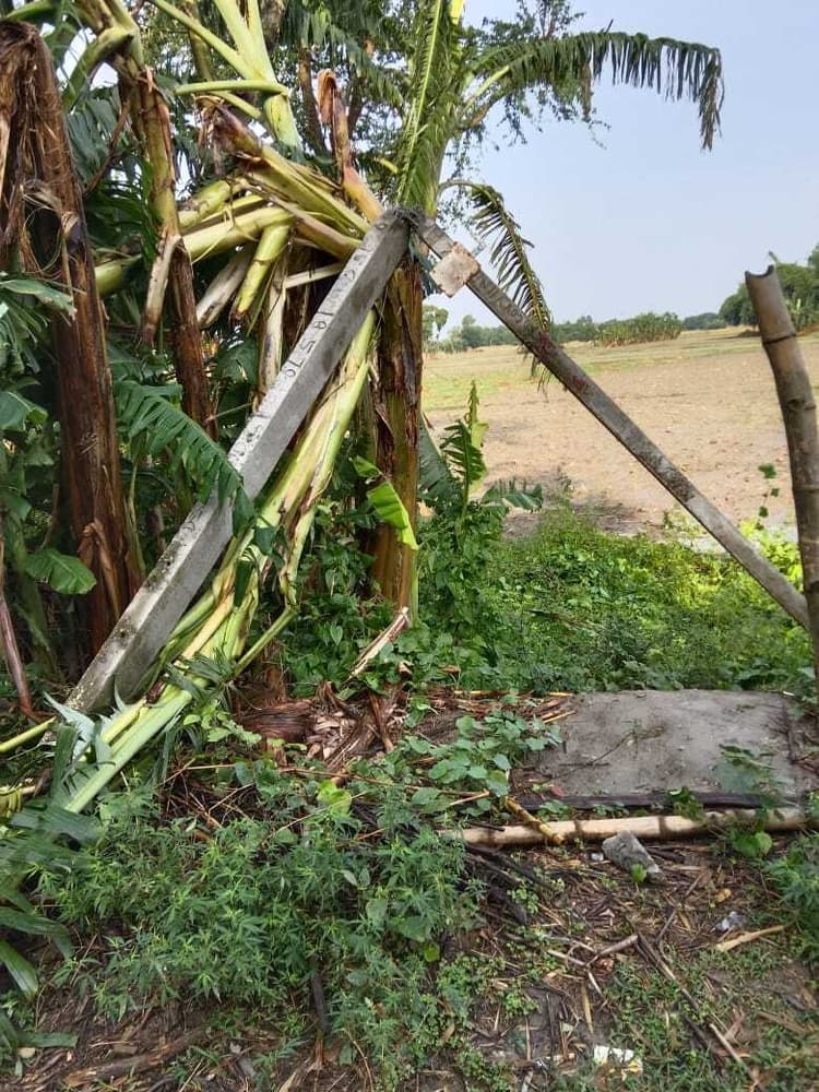 प्रकृति का प्रकोप या कुदरत का कहर, आंधी-तूफान एवं बारिश ने छीना किसानों के मुंह का निवाला