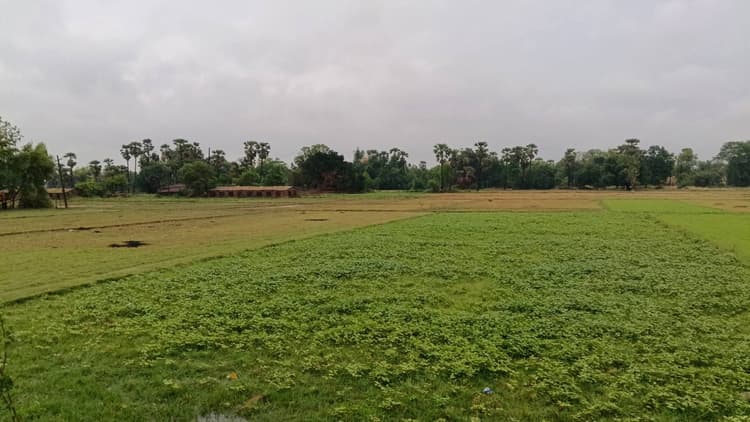 तेज आंधी और बारिश से किसानों को भारी नुकसान