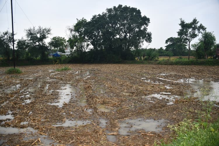 Bokaro News : नौतपा में बारिश खेती के नहीं है अच्छा