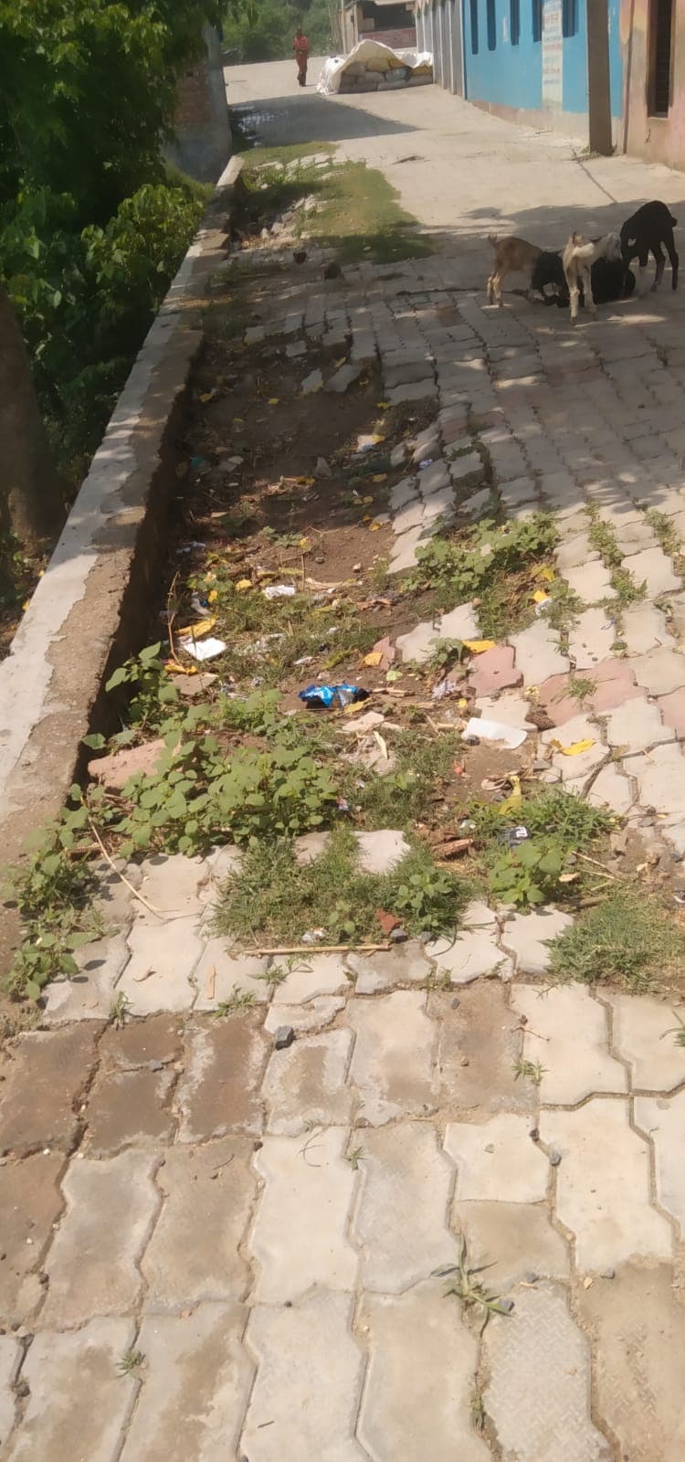 देवघरा में जर्जर सड़क से आवाजाही मुश्किल, मरम्मत की मांग