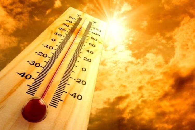 Gaya News: लू से बुजुर्ग की मौत, स्टेशन के पास मिला शव