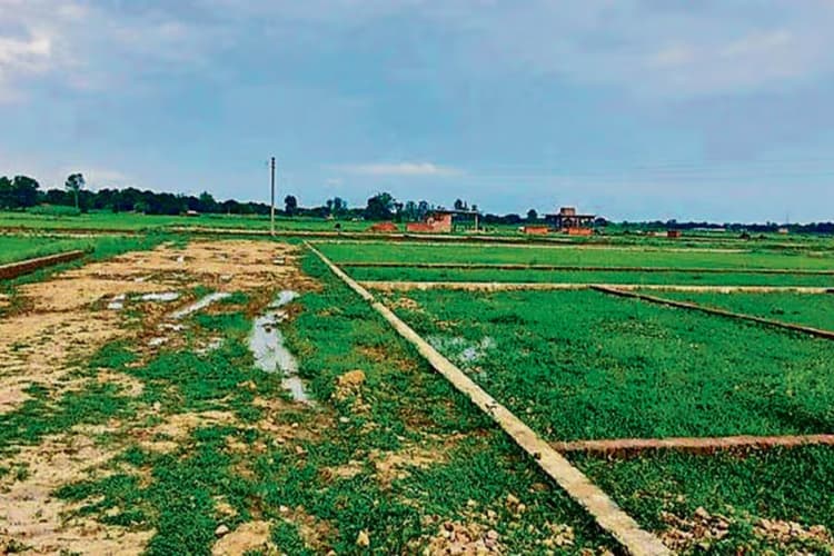 बिहार में सरकारी जमीन की खरीद-बिक्री पर सख्ती, नया सिस्टम फर्जीवाड़े पर लगाएगा रोक