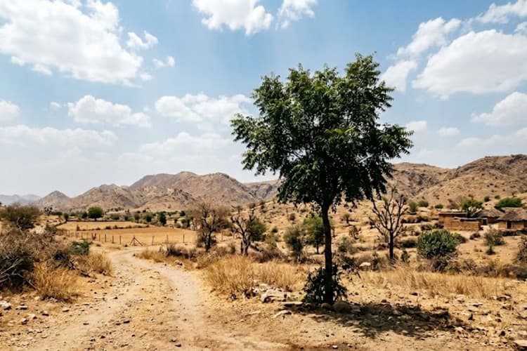झारखंड में भीषण गर्मी: मेदिनीनगर का तापमान 44 डिग्री के पार, कई जिलों में बढ़ेगा पारा