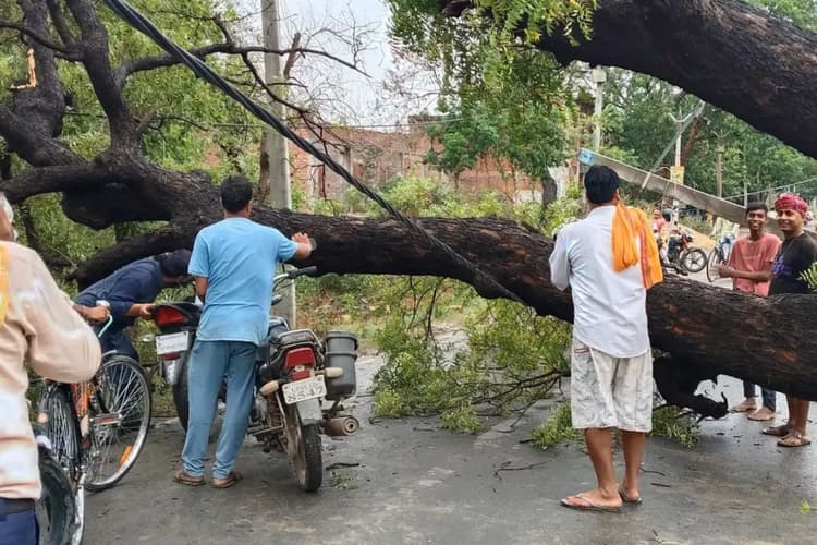 कैमूर में आंधी-बारिश का कहर, विशाल नीम पेड़ बिजली पोल पर गिरा, मार्ग ठप