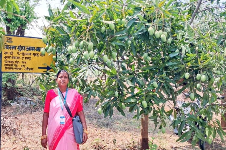 मनोरमा टूटी की प्रेरक कहानी: बंजर जमीन से समृद्धि तक का सफर