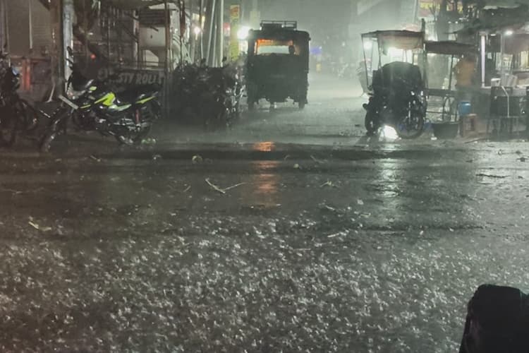 पलामू में तेज रफ्तार आंधी में पेड़ गिरने से दो की गई जान, ग्रामीण क्षेत्रों में बिजली बाधित